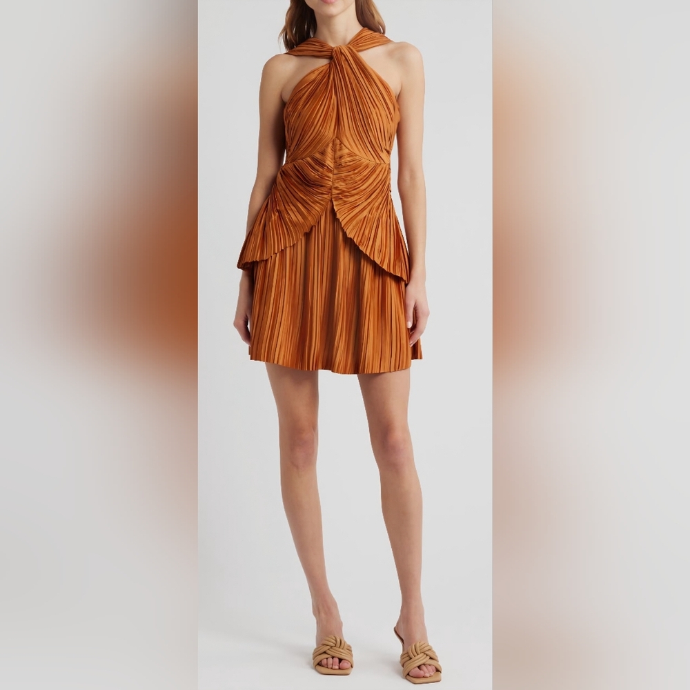 Cult Gaia Sofila Variegated Pleat Twist Neck Minidress 2